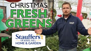 MUSTHAVE Christmas Fresh Greens  Stauffers of Kissel Hill [upl. by Ahsie101]