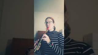 The Mountains of Mourne  tin whistle in Bb [upl. by Amadas297]