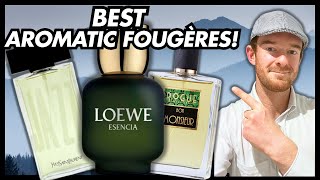 The BEST Classic and Masculine Aromatic Fougère Fragrances [upl. by Anoid]