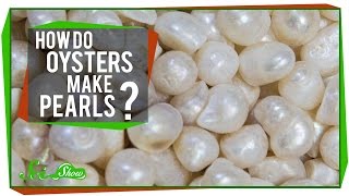 How Do Oysters Make Pearls [upl. by Irab]