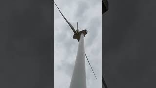 Windpark Querfurt Enercon und NEG Micon Anlagen [upl. by Hasty]