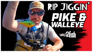 Kayak Ripping Pike and Walleye with Lipless Crankbaits [upl. by Kired330]