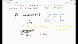 Skeletal System part 2 video [upl. by Cutler931]