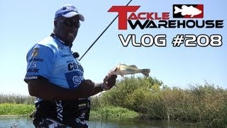 Froggin at the Cal Delta with Jared Lintner amp Ish Monroe  Part 3  Tackle Warehouse VLOG 208 [upl. by Ferris]