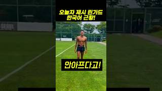 오늘자 린가드 한국어 근황 린가드 lingard [upl. by Dibrin]