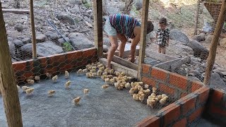 mis gallinas ponedoras ya creciendo con todos los poderes 😲 [upl. by Annayt]