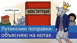 Путинские поправки объясняю на котах  Коты Ходорковского [upl. by Alfons]