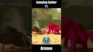 JUMPING SPIDER vs ARANEO n ARTHROPLUERA Tyzaew Short ArkSurvivalAscended [upl. by Cassy946]