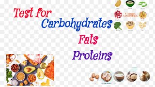 How to test for food components carbohydrates fats proteins science knowledge information [upl. by Bethesda58]