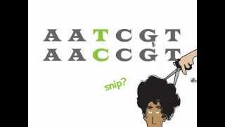 Genetics 101 Part 2 of 5 What are SNPs [upl. by Newmark330]