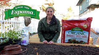 Espoma Organic Raised Bed Mix 🥕🥗 Hows It Growing [upl. by Acey377]