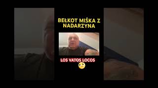 🏳️‍🌈MISIEK Z NADARZYNA  FREE LOVE misiek masa lgbt losvatoslocos mafia [upl. by Nydia602]