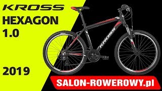 Kross Hexagon 10 2019 wwwsalonrowerowypl [upl. by Airtemad]