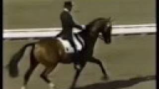 Klimke and Ahlerich  1984 Olympics Dressage [upl. by Hisbe91]