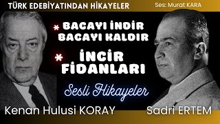 İki Ustadan İki hikaye  Türk Edebiyatından Sesli Kitaplar [upl. by Tanney9]