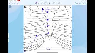 Surface anatomy of lung and pleura [upl. by Henrique]