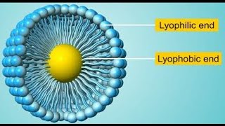 الغروي المحب والكاره للمذيب  lyophilic and lyophobic colloids [upl. by Assital]