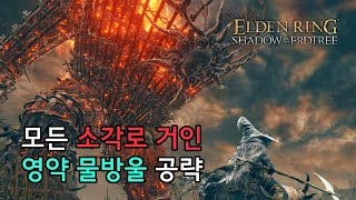 엘든 링 DLC 모든 소각로 거인 amp 영약 물방울 완전 공략 [upl. by Ahsiken745]