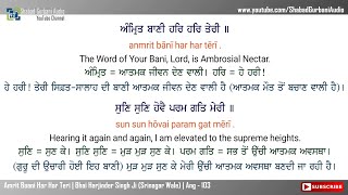 Amrit Baani Har Har Teri  Bhai Harjinder Singh Ji  Punjabi  English Lyrics amp Meaning  4k 60 fps [upl. by Postman]