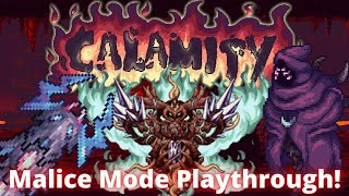 These Bosses Just Became Impossible Terraria Calamity Mod True Malice Mode Playthrough 7 [upl. by Garrett376]