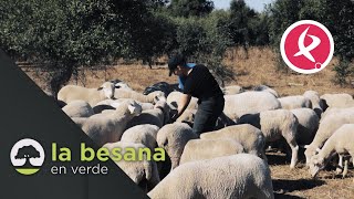 Mujeres para el futuro del campo  La besana en verde [upl. by Aruol]