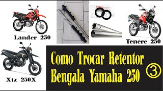 Como Trocar Retentor Bengala Yamaha XTZ250X Lander 250 e Ténéré 250 PARTE 3 [upl. by Giacamo]