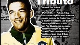 Tributo a Mané Garrincha  Balada Nº 7  Moacyr Franco [upl. by Angy305]