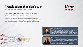 Transfections that dont suck webinar [upl. by Nyleda751]