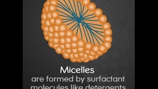 Micelle Function Structure and Formation [upl. by Naus]