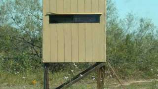 Grande Hunts 8 South Texas Deer Lease Work Feeding amp Scouting October 2010 [upl. by Drofkcor]