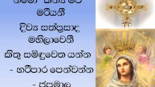 Pray to Mother Mary with this Hymn [upl. by Major]