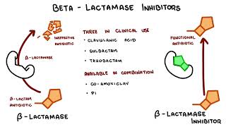 Penicillin antibiotics  Mechanism of action side effects and resistance [upl. by Leerzej]