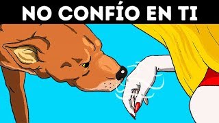 La Ciencia Confirma Que Los Perros Pueden Reconocer A Una Mala Persona [upl. by O'Donoghue]