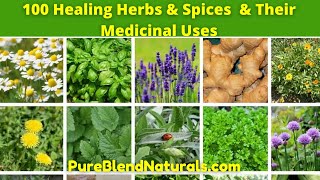 Top 100 Best Healing Medicinal Herbs Spices And Plants Names Health Benefits And Medicinal Uses [upl. by Griz]