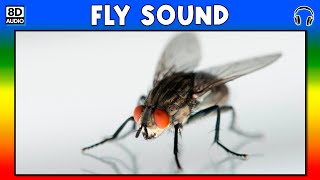 🦟 FLY SOUND  FLY SOUND EFFECT  SOUND OF FLY  NOISE OF FLY [upl. by Levi]