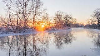 Beautiful Frozen Landscape 4k [upl. by Irek]