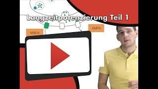 Langzeitpotenzierung Teil 1  im Interview mit Dr Weigl [upl. by Nuzzi873]