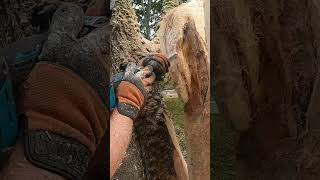 Chainsaw carved the Watcher chainsaw woodworking chainsawcarving eagle eagles [upl. by Direj671]