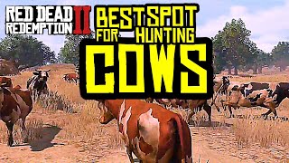 Red Dead Redemption 2 Best Hunting Spot for Cows RDR2 [upl. by Sharlene772]