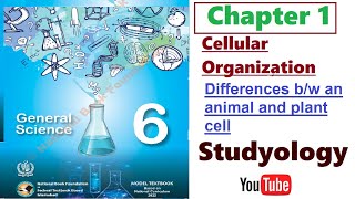 Differences Between an Animal and Plant cell  Class 6 Unit 01 Cellular Organization  FBISE 2023 [upl. by Bridgette302]