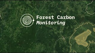 Forest Carbon Monitoring project [upl. by Nomor]