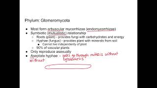 Fungi  Glomeromycota and Chytridiomycota [upl. by Darci]