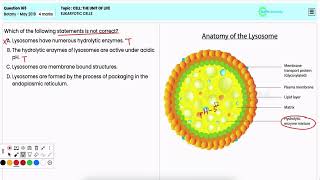 How It Works in Protein Synthesis for Botany Question 165 NEET 2019 The Genetic Code [upl. by Cedell29]