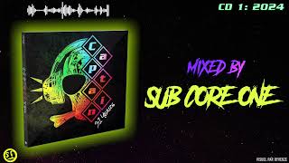 CAPTAIN 31 YEARS MEGAMIX BY SUB CORE 1 [upl. by Eiroj]