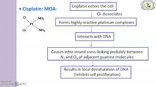 Antineoplastic agents Cisplatin [upl. by Haroldson999]