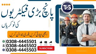 Top 5 Jobs In Lahore  𝐀𝐩𝐩𝐥𝐲 𝐎𝐧 ‪talentconnectingservices ‬ [upl. by Monro]