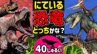 【にている恐竜はどっち】名前を聞いて恐竜を当ててみよう♪どっちが正解かな？！ [upl. by Ariana]