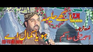 Aakhy Haleema Hoya Kamal Ay  Ahmad Ali Hakim 2018  New Naat 2018 By ZM Studio [upl. by Ahseket]