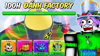 Tôi Dành 100H Đánh Factory Trong Blox Fruit  😱 [upl. by Bambie]