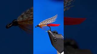 The Professor Fly Pattern [upl. by Hallsy505]